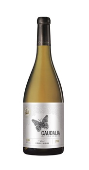 Caudalia de Vallobera