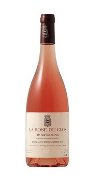 La Rose du Clos Lambrays