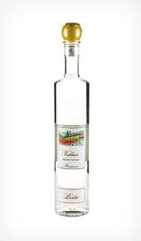 Grappa Berta Valdavi