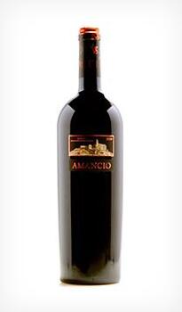 Amancio 2005