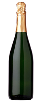 Anna de Codorniu Brut (2 st metall)