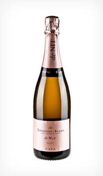 Raventos i Blanc de Nit Rosé