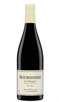Bouvier Bourgogne Chapitre