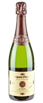 5+1 Segura Viudas Brut Vintage