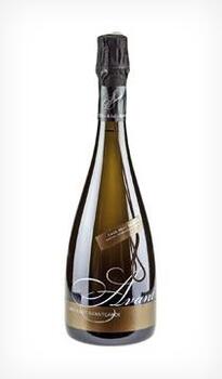 Giro Ribot Avant
