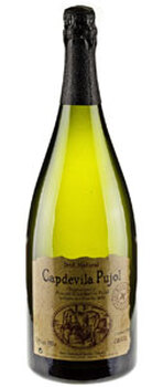 Capdevila Pujol Magnum