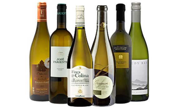 Vinprovningspaket - sauvignon blanc